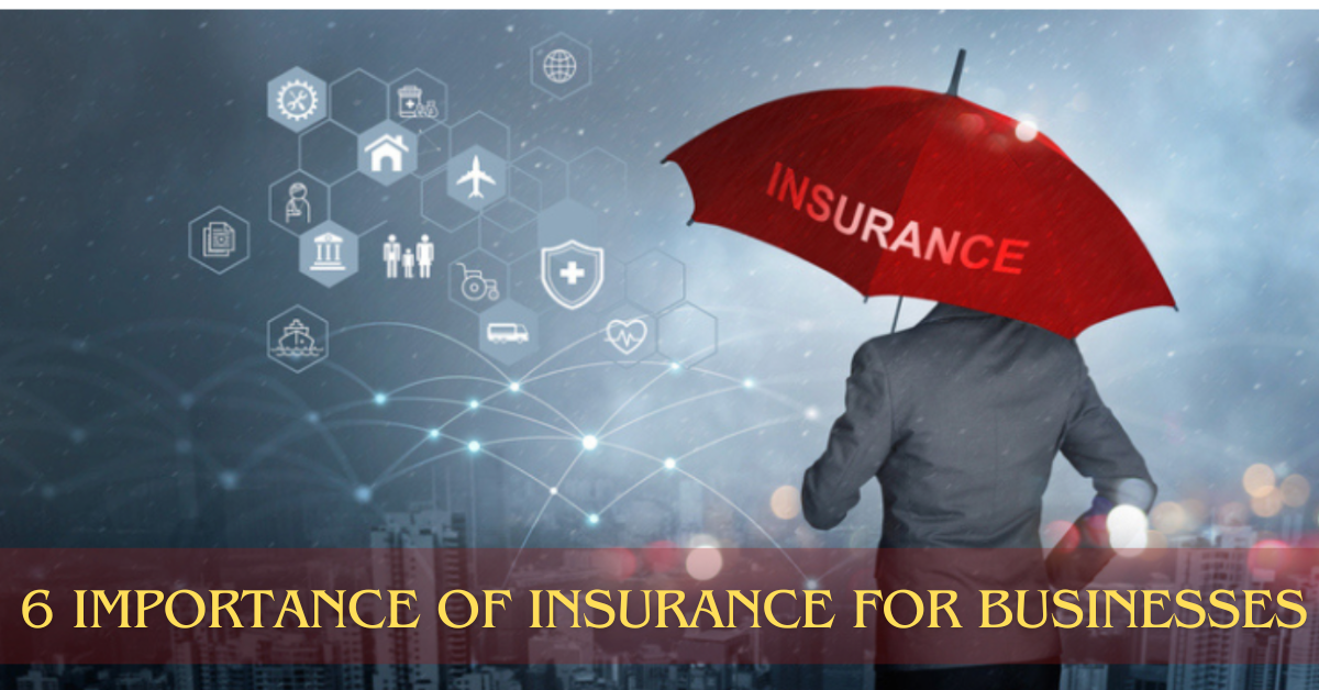 6 Importance of Insurance For Businesses